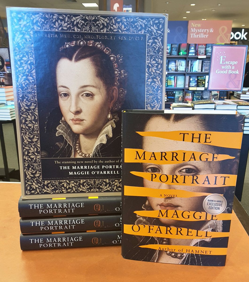 📚 BOOK OF THE YEAR FINALIST 📚
#HistoricalFiction at its finest! Set in Renaissance Italy, this story follows the young duchess Lucrezia de' Medici as she makes her way in a troubled court. 
#bnboty #booktwt #BookTwitter #BNFramingham