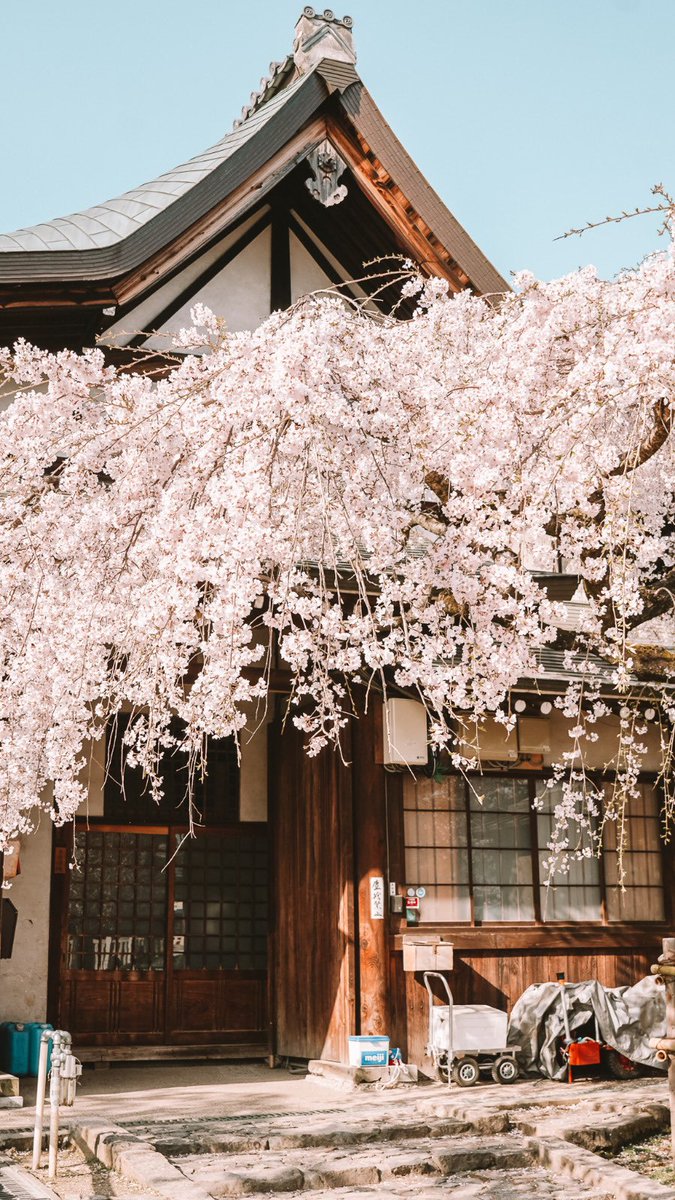 Nara, Japan.