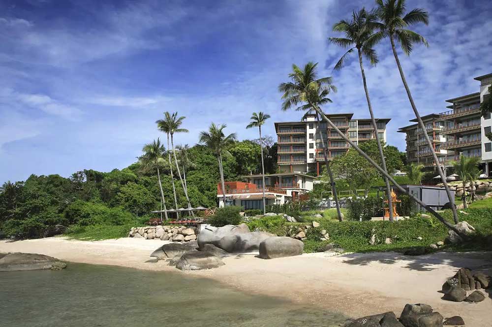 RealSamui tweet picture