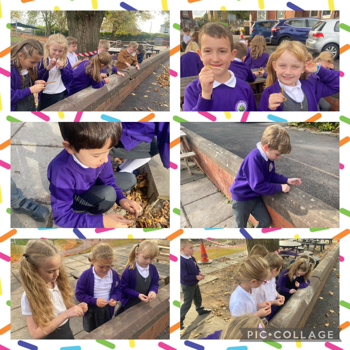 Mrs Weighell tweet media