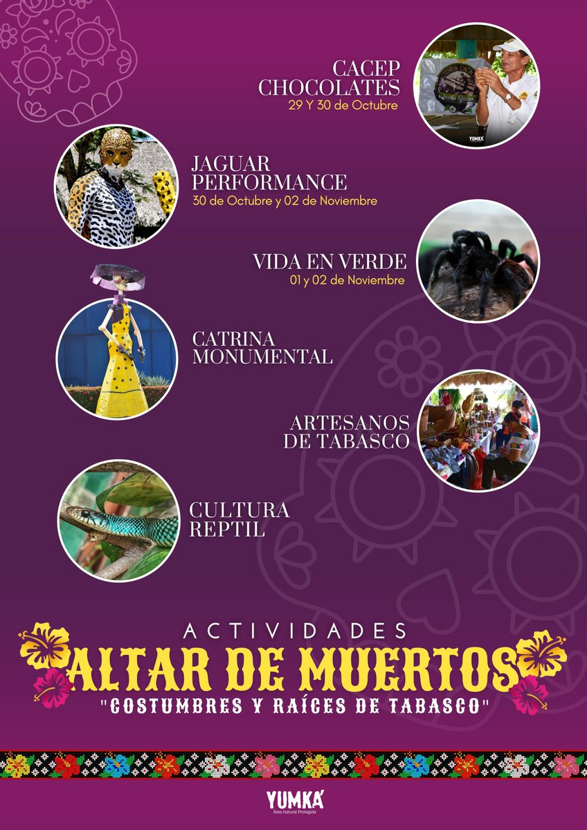 ANP_Yumka's tweet image. 💀🕯️🎉 Celebra con nosotros la gran inauguración de nuestro #AltardeMuertos "Costumbres y raíces de Tabasco", este 28 de Octubre. 🕸️ #ViveLaExperiencia #DíaDeMuertos
Agradecemos la participación de @PapagayoTabasco y @ArtesaniasdeTab