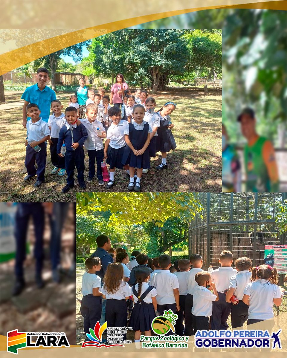 #25Oct. 50 arboles fueron plantados por 48 niños y niñas de la Escuela Bolivariana Bararida, quienes participaron en una jornada especial de reforestación organizada por el Estado Mayor Ecosocialista en las instalaciones del <a href="/ParqueBararida/">Parque Zoológico y Botánico Bararida</a> .