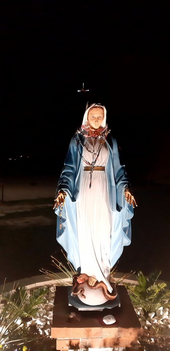 donAntonio63's tweet photo. Maria santissima prega per noi https://t.co/s6MHCnlL0L