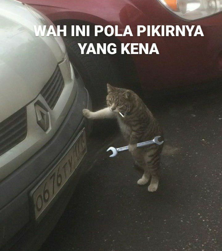 RendroPee's tweet photo. @kegblgnunfaedh https://t.co/JUrUHQ1ypJ