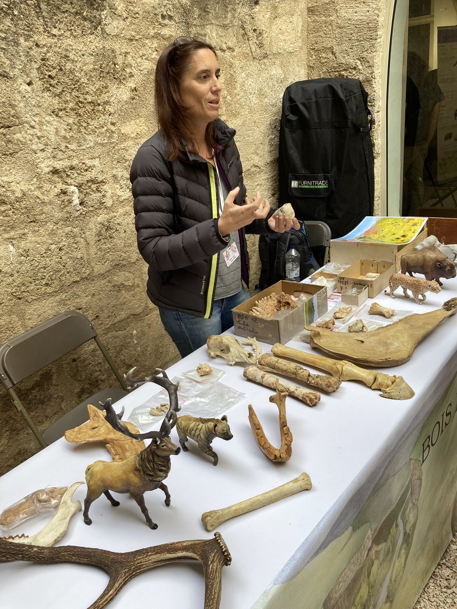 conexp2022's tweet photo. The Bois de Riquet exhibition presented by A. Testu (@upvd1) & L. De Weyer (@AnTET_ArScAn)
#CONEXP2022 https://t.co/OV0JfdJuHC