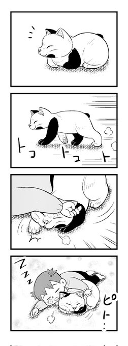 3時半まえー(^o^;)
苦しまぎれ4コマー
早く寝まーす...おやすみなさいー
(‾q‾)zzz 