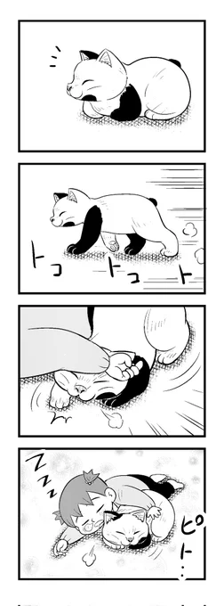 3時半まえー(^o^;)
苦しまぎれ4コマー
早く寝まーす...おやすみなさいー
(‾q‾)zzz 