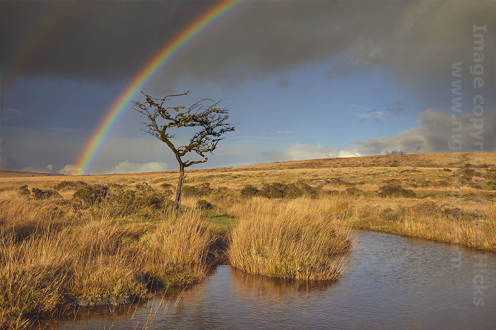 My final #photographycourse of the year is this coming Saturday, 29 Oct, #Dartmoor in autumn, at #FingleBridge. Want to come? We still have spaces, so sign up at nigelhicks.com/photography-wo…
@Exeter_Hour @somersethour @SouthWestHour @ThePhotoHour @CanonUKandIE @OPOTY