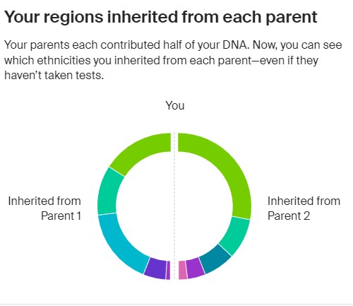 B W Rex, JD tweet media