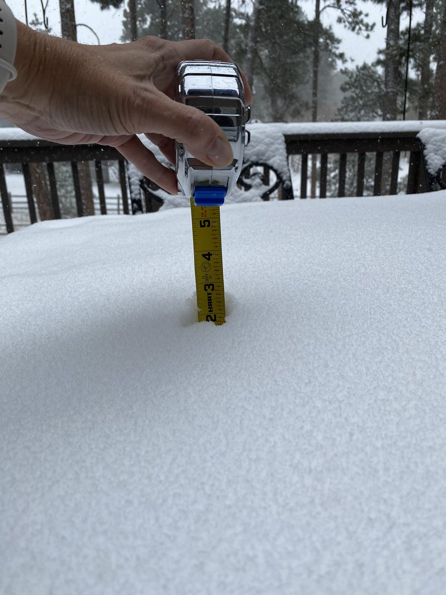 2-3” in Woodmoor @ 7400’. Sadie the double coated snow dog is in her happy place! #cowx <a href="/kodythewxguy/">Kody Wilson</a>  <a href="/NWSBoulder/">NWS Boulder</a>