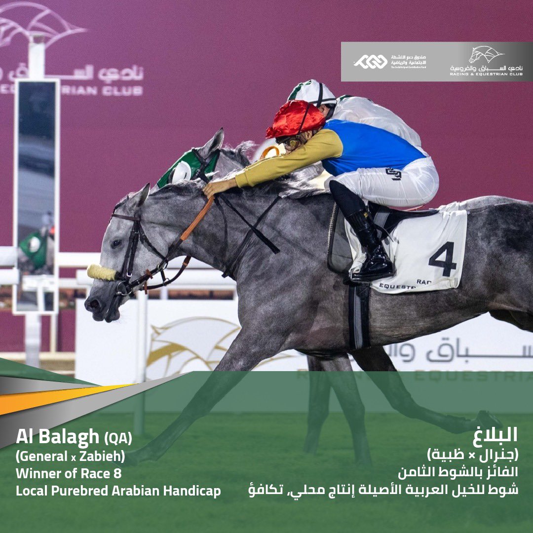 Al Balagh picks up where she left off in her last campaign, winning a 1600m Handicap for 4YO+ Local Purebred Arabians, recording a double on the day for Wathnan Racing and Alban de Mieulle. Soufiane Saadi rode the 5YO mare to prevail by a head in front of Al Sij Al Sakab (QA)
