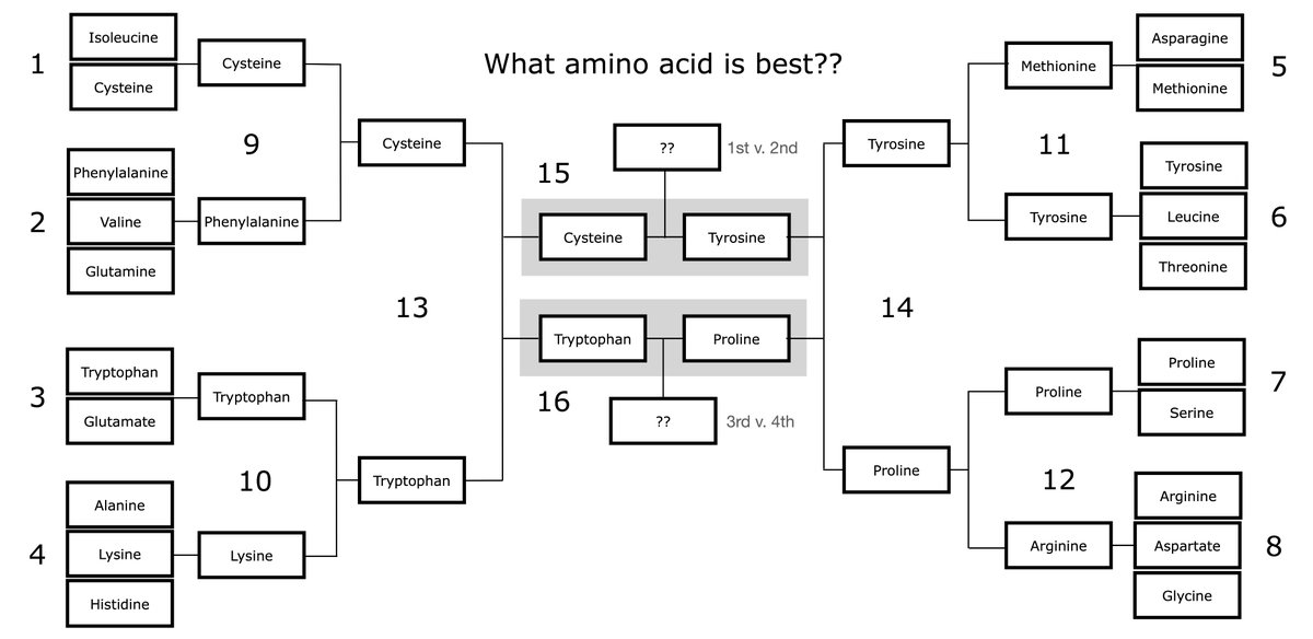 It is this year of our lord 2022 and it's time to decide, once and for all, WHICH AMINO ACID IS BEST?! FINAL COUNTDOWN ROUND 4!! We will be voting for 1st vs 2nd place, and 3rd vs 4th place!! Voting closes Sat 10/29 2pm EST!! #biochemistry #biophysics #chemistry #ChemTwitter