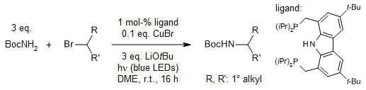 organic-chemistry.org/abstracts/lit6… 
A copper-based photoredox catalyst, bearing a tridentate carbazolide/bisphosphine ligand, that can be activated upon irradiation by blue LEDs, achieves the coupling of a range of primary carbamates with unactivated secondary alkyl bromides