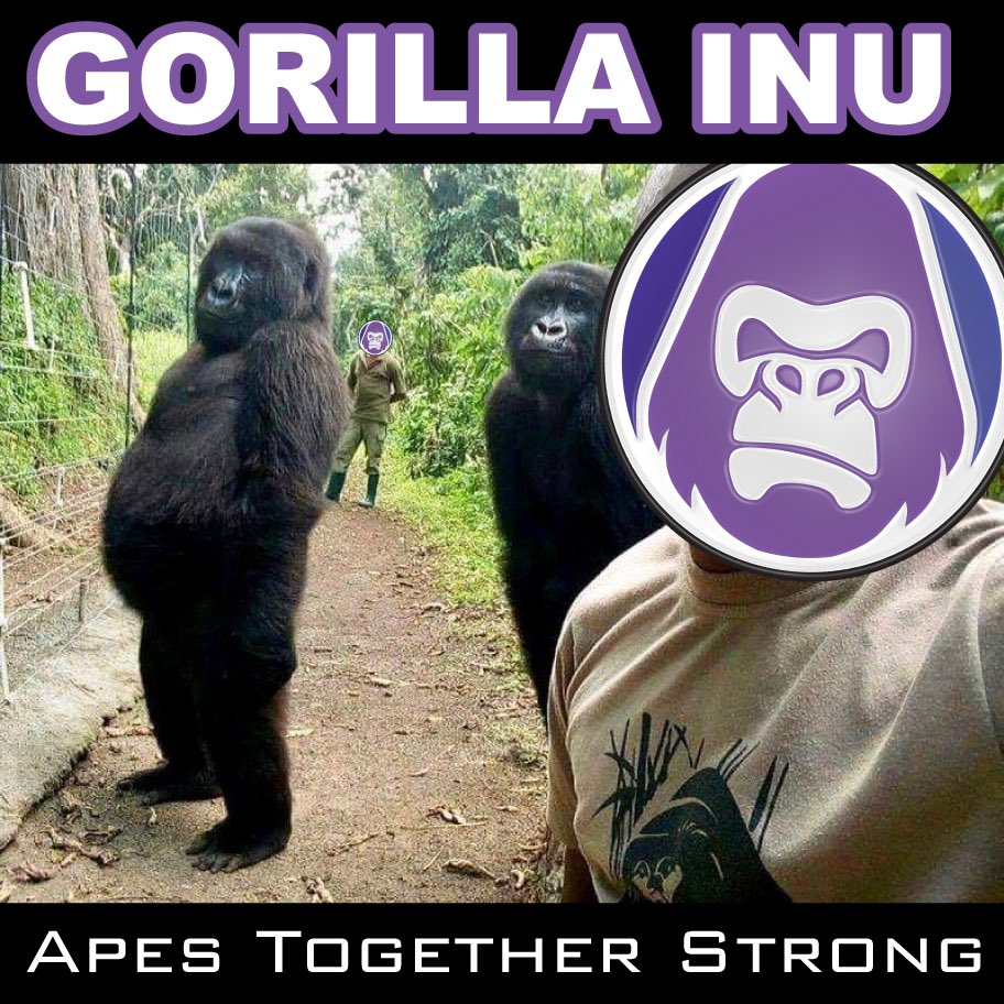 AltGemHunter's tweet photo. 🔥GORILLA INU - @Gorilla_inu

🦍Charity Token
🦍Rewarding Staking Soon
🦍LP Locked for another 1 year
🦍Donated 10k$ + To Gorilla Saving Organizations
🦍Big Burns Starting On Friday 28th Oct '22. Buy this Gem now🙌

📈Chart: https://t.co/TYzyOeHOI5
💬TG: https://t.co/gGEJ1a6iLc https://t.co/tmSugwHEzk