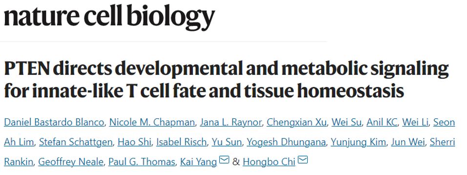 St. Jude Research (@stjuderesearch) on Twitter photo PTEN is often mutated in human cancer, but its normal function has remained mysterious. St. Jude immunologists showed PTEN prevents T-cell cancer and autoimmunity. Explore the mechanism in <a href="/NatureCellBio/">Nature Cell Biology</a>. go.nature.com/3FnrPxq <a href="/dbastardo27/">Daniel Bastardo Blanco, PhD</a> <a href="/hongbo_chi/">Hongbo Chi</a> #immunology PTEN is often mutated in human cancer, but its normal function has remained mysterious. St. Jude immunologists showed PTEN prevents T-cell cancer and autoimmunity. Explore the mechanism in <a href="/NatureCellBio/">Nature Cell Biology</a>. go.nature.com/3FnrPxq <a href="/dbastardo27/">Daniel Bastardo Blanco, PhD</a> <a href="/hongbo_chi/">Hongbo Chi</a> #immunology