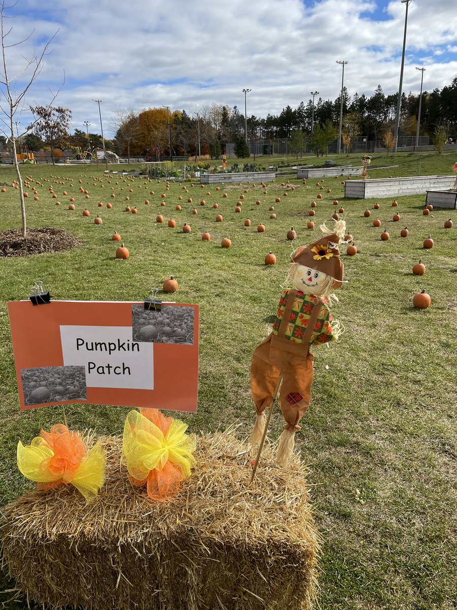 Stephanie English tweet media