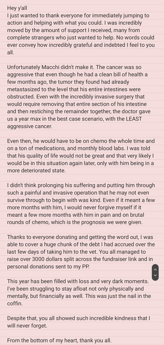 Snekoko's tweet photo. Thank you all from the bottom of my heart. If you would still like to donate to cover the remaining costs I have accrued over the last few days of vet visits, the fundraiser link will remain up for a few more days. https://t.co/9qdEGAQERK
 https://t.co/bghdbGSBNM https://t.co/ftRuoNUbic