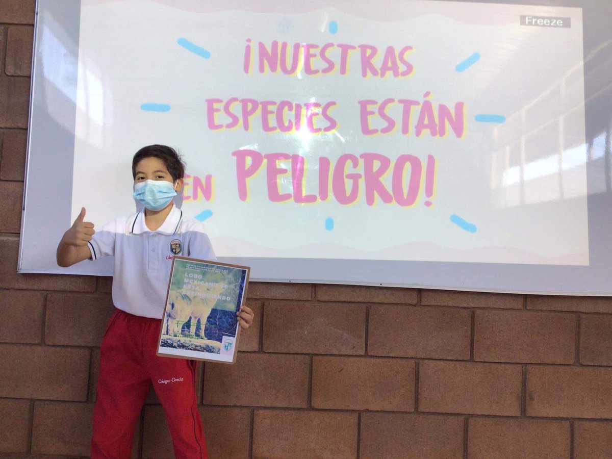 GreciaColegio's tweet photo. Animales en peligro de extinción 🍃🐾
Middle School 7th grade
#colegiogrecia #ADSinprogress #knotion https://t.co/oMk8ZBlhjq