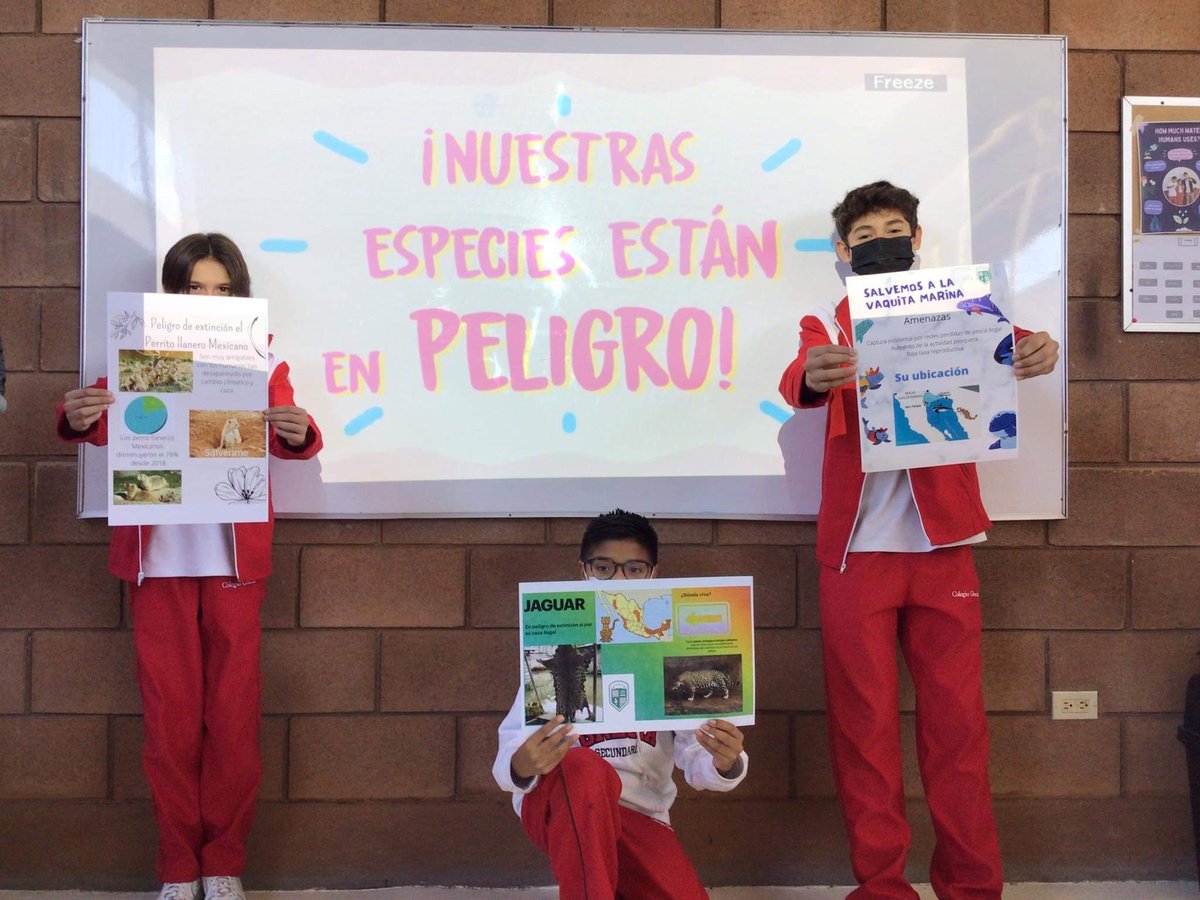 GreciaColegio's tweet photo. Animales en peligro de extinción 🍃🐾
Middle School 7th grade
#colegiogrecia #ADSinprogress #knotion https://t.co/oMk8ZBlhjq