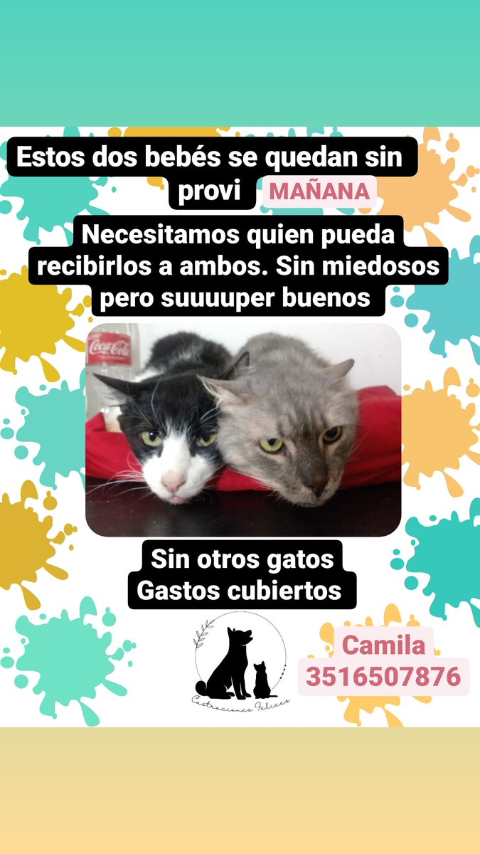 Bebitos que buscan familia que los ame o un hogar provisorio
3516507876
<a href="/VivireNuevaCba/">VivirenNuevaCórdoba®</a>
<a href="/VivirEnNuevaCba/">Vivir en Nueva Cba</a>