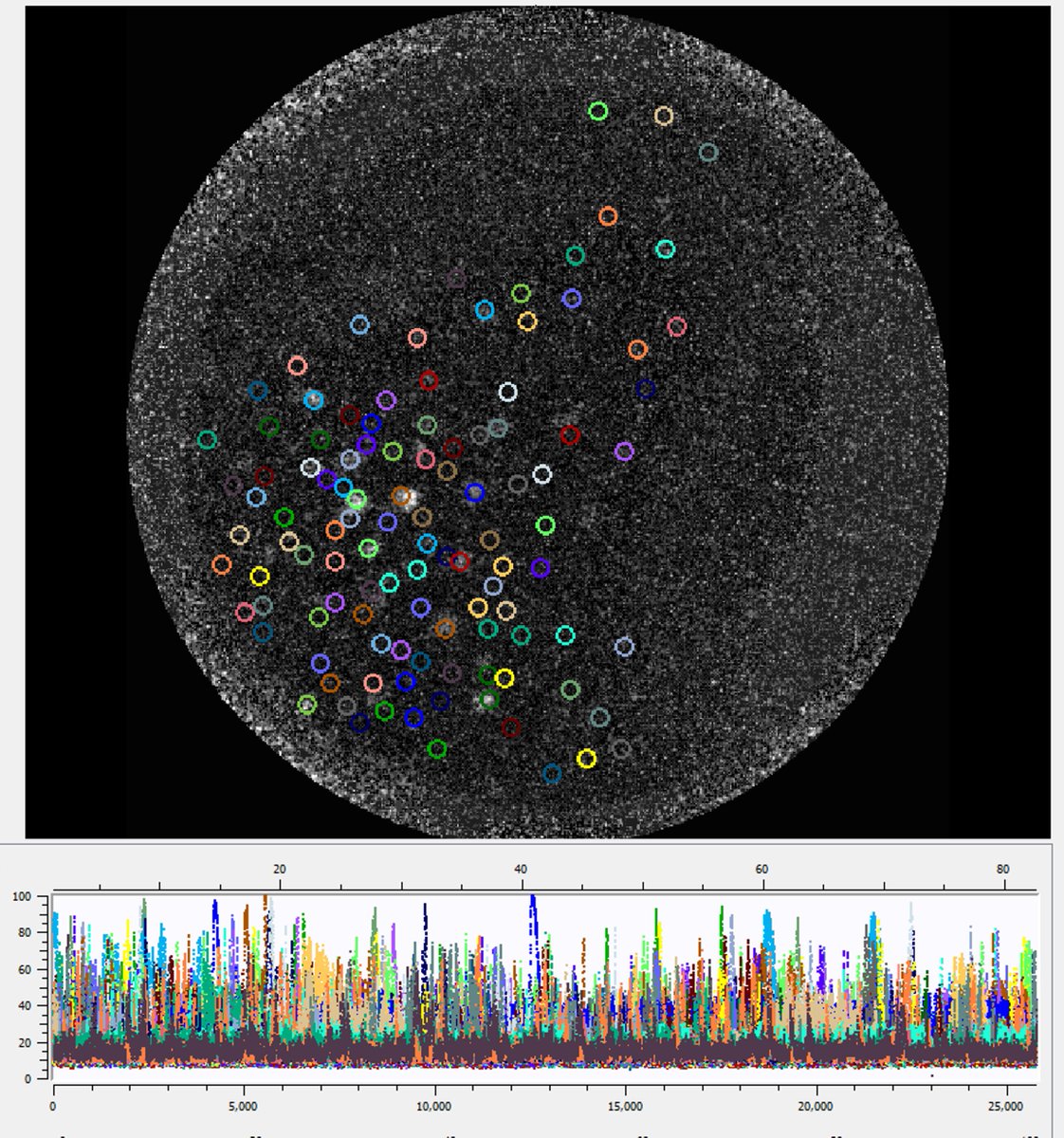 #neurotwitter Calling #neuroscientists! Don’t forget to submit #calciumimaging videos: neurescencecontest.com Deadline Oct 31 2022. Winners announced <a href="/SfNtweets/">Society for Neuroscience (SfN)</a> #sfn2022 &amp;Twitter live Nov 14 2022. Win $300 &amp; 6-month subscription to automated Ca analysis software <a href="/AcademicChatter/">Academic Chatter™</a>