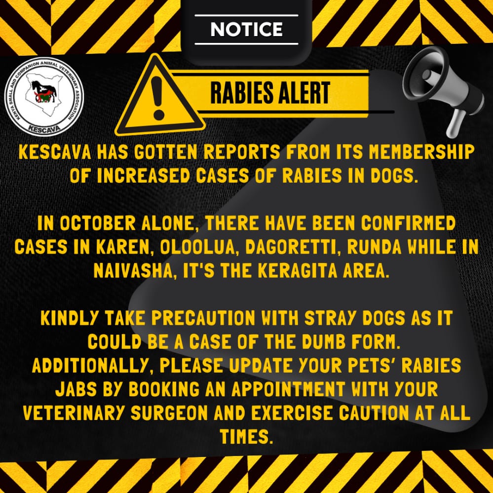 KESCAVAvets's tweet photo. Rabies Alert ‼️‼️

Do not let your guard down around stray dogs. They may be carrying rabies.

If you have a dog 🐕, make sure they're up to date on their rabies vaccinations 💉. Ensure you're doing everything you can to be a ✅responsible dog owner! https://t.co/6JqMKGOJsf