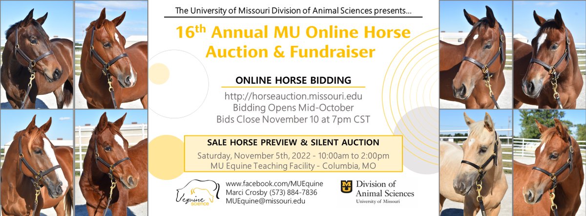 cafnr's tweet photo. Bidding is now open! https://t.co/noNUHXBJso 

All proceeds support educational opportunities for MU Equine Teaching Facility students. Also, make plans to stop by the Sale Horse Preview &amp; Silent Auction Saturday, Nov. 5, from 10 a.m. to 2 p.m. https://t.co/uGM1sLpgbX