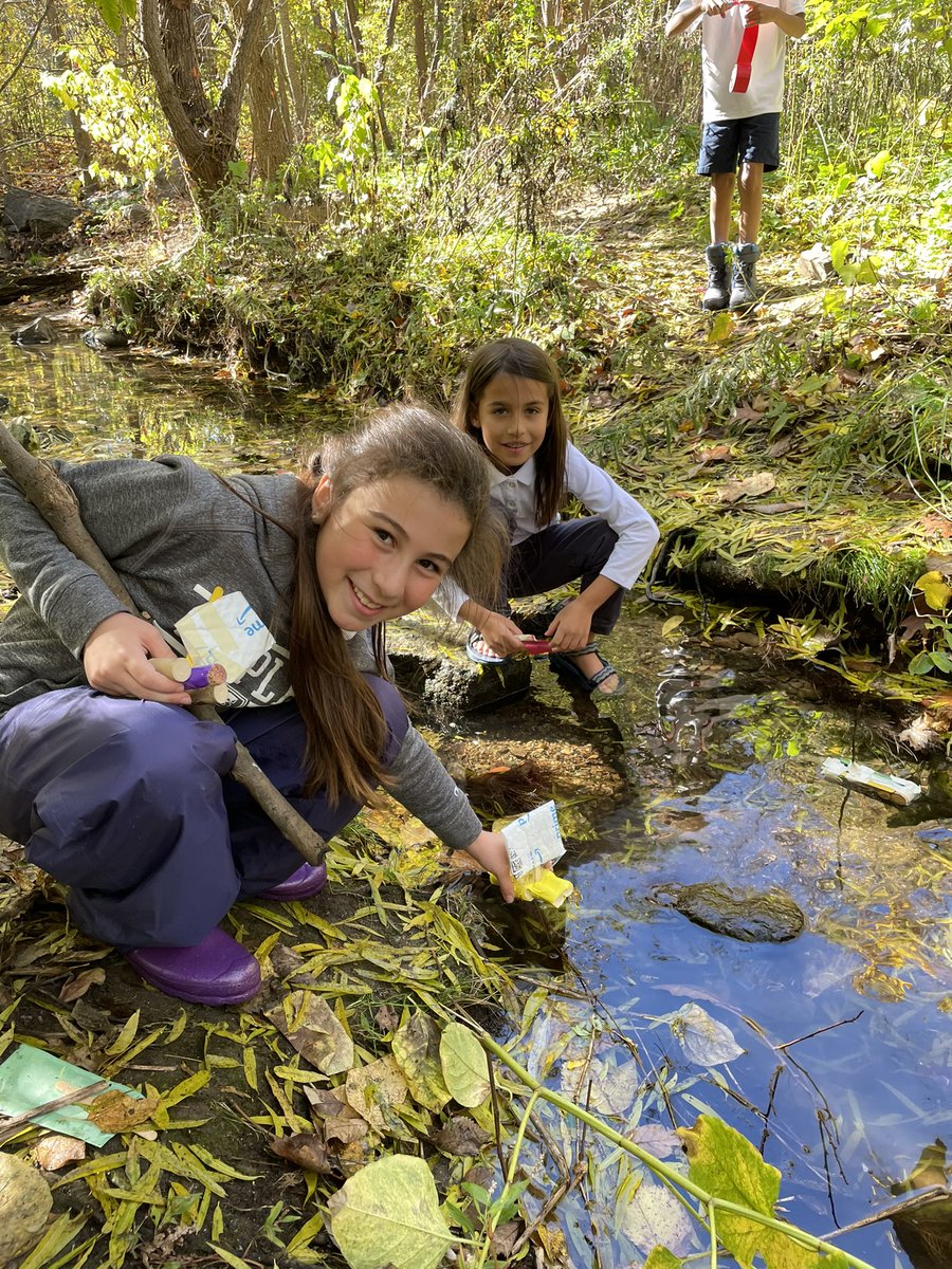 ddelduca tweet media