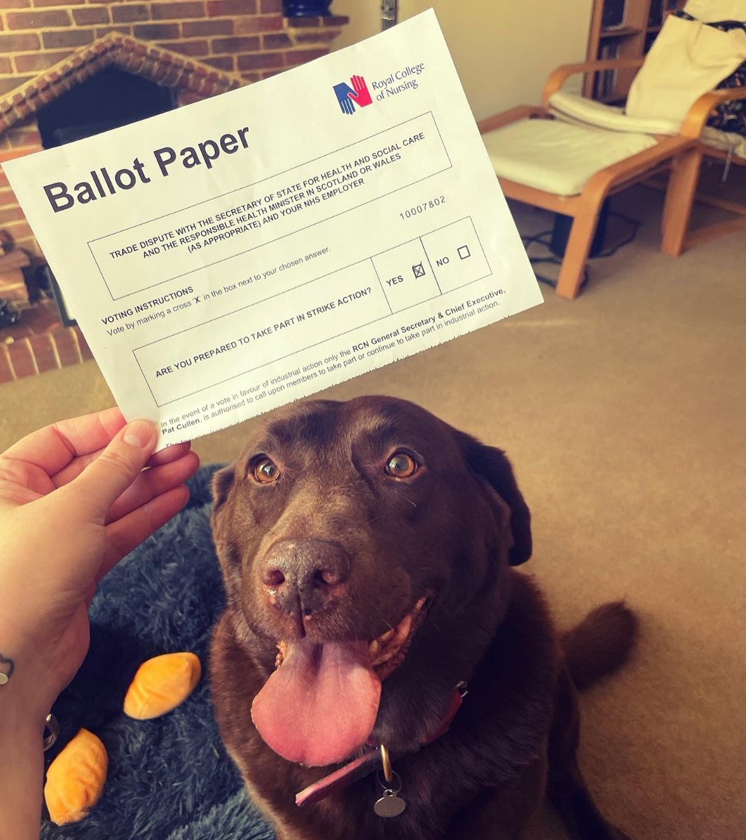 lost amongst the trees tweet media