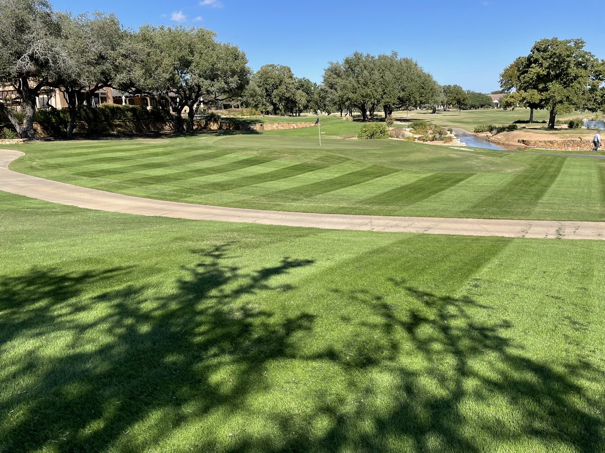 First cut after #overseed22 on the 19th Hole! #stripeshow