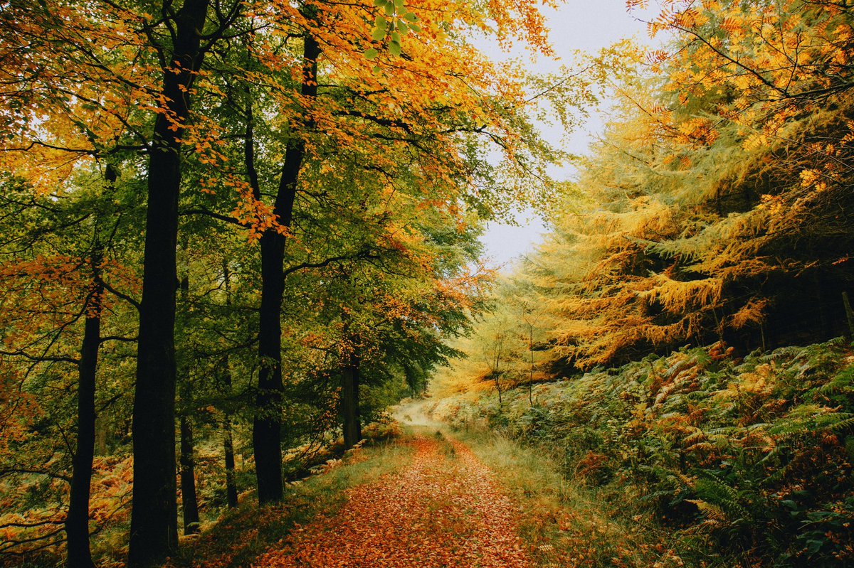 Daniel Casson tweet media