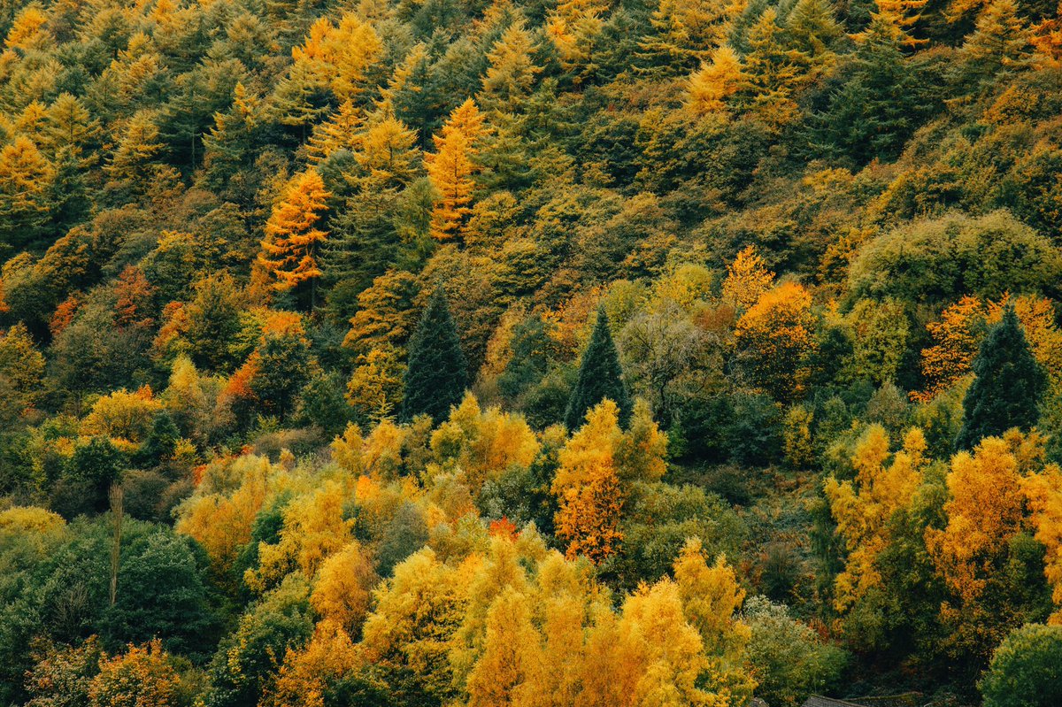 Daniel Casson tweet media