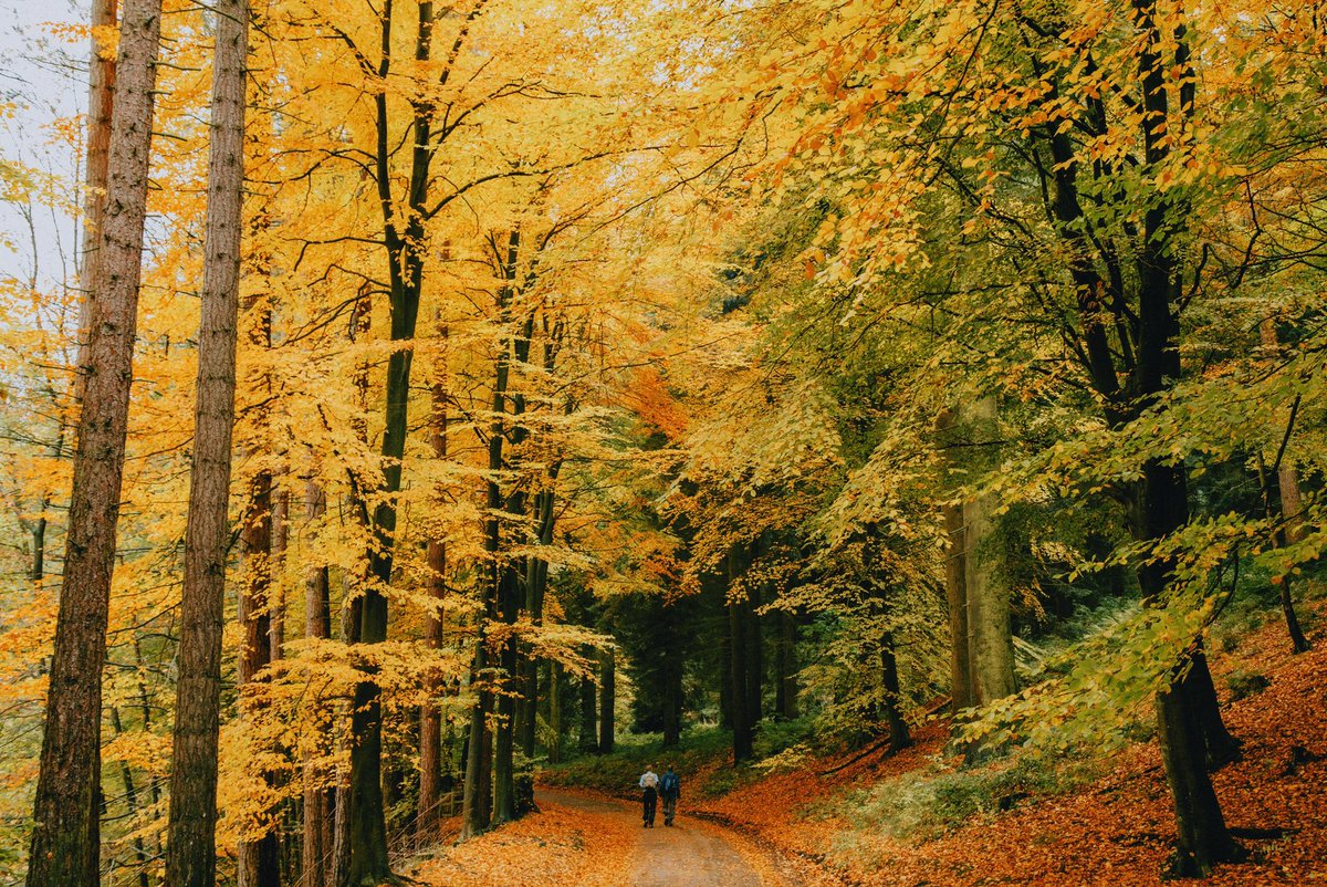 Daniel Casson tweet media