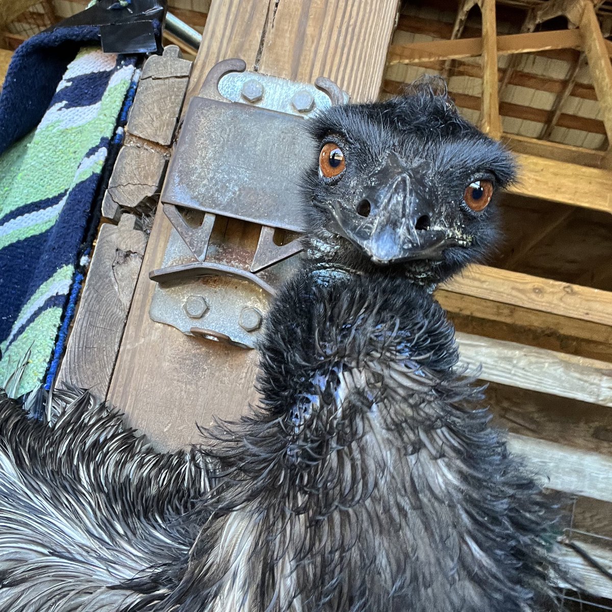 Have a great day, friends! -ETL