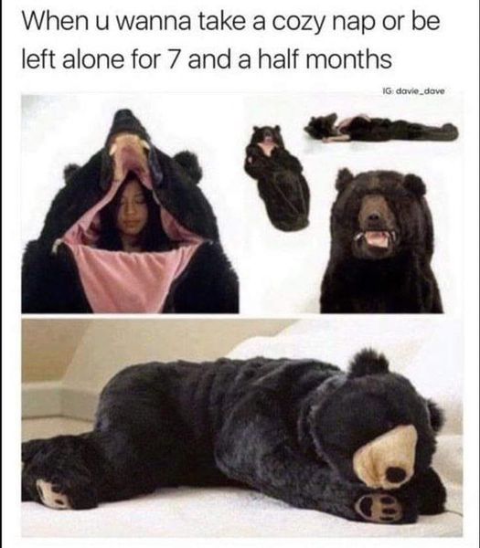 WholesomeMemes (@wholesomememe) on Twitter photo 