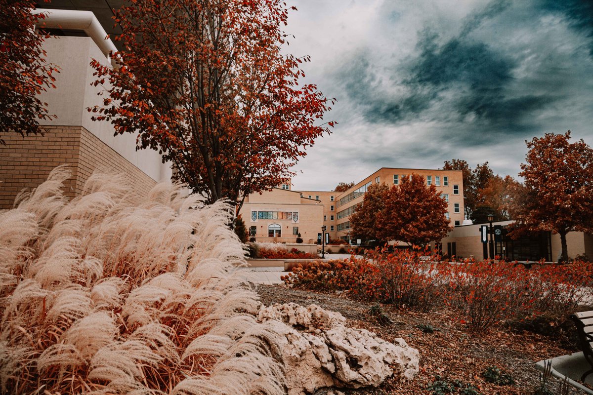 CSM_Omaha's tweet photo. Fall at CSM 🍂🍁 https://t.co/V2NFKYzKF7