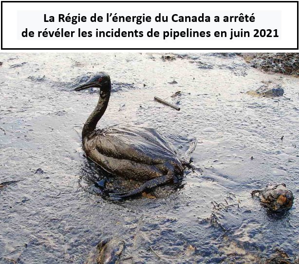 AlainMignault's tweet photo. La Régie de l'énergie du Canada n'a pas mis à jour sa liste d'incidents de pipelines depuis juin 2021. Avant c'était aux 3 mois. Les incidents survenus depuis plus d'un an sont inconnus! @patbonin @ManonBevillard https://t.co/AEmumrBv0p Photo: Igor Golubenkov (CC) Flickr https://t.co/05xql8zCA2
