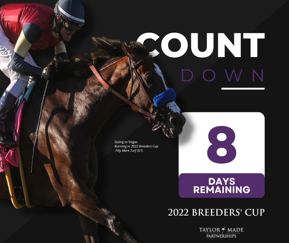 Let the countdown begin! Only 8 days until we are underway with the 2022 Breeders' Cup!😄 #taylormadepartnerships
