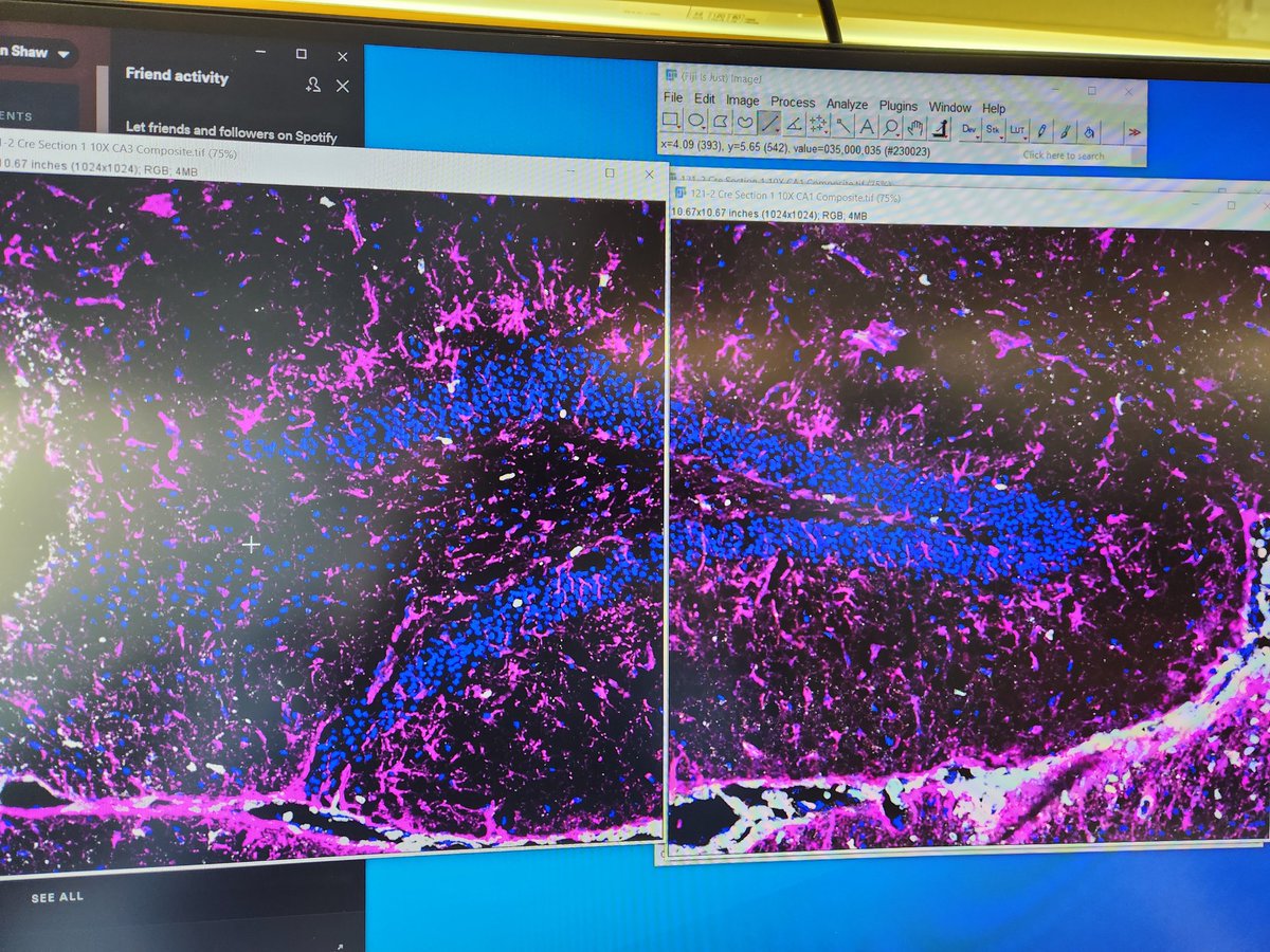 ShawDoesScience's tweet image. Science is pretty.