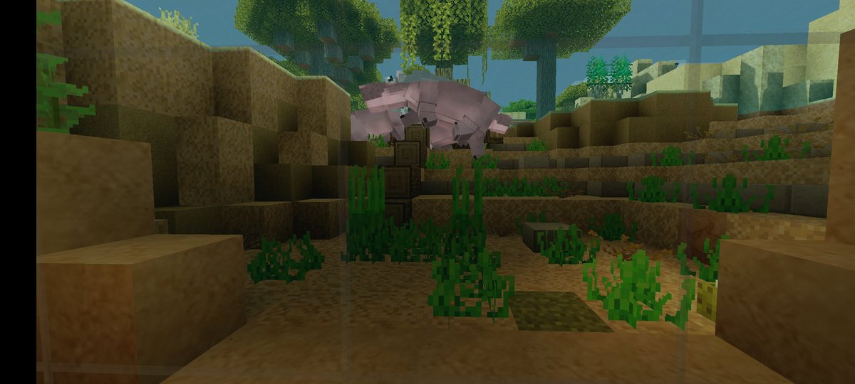 BrunoSa63621330's tweet photo. Recinto dos Hipopótamos, decorado como uma savana alagada com visão submersa 🦛
Bioma SavanaISetor Africa🦒
#ycreatures by:
@Gbiel_yBrothers 
@vitor32695769 https://t.co/zF7hOgIIPQ