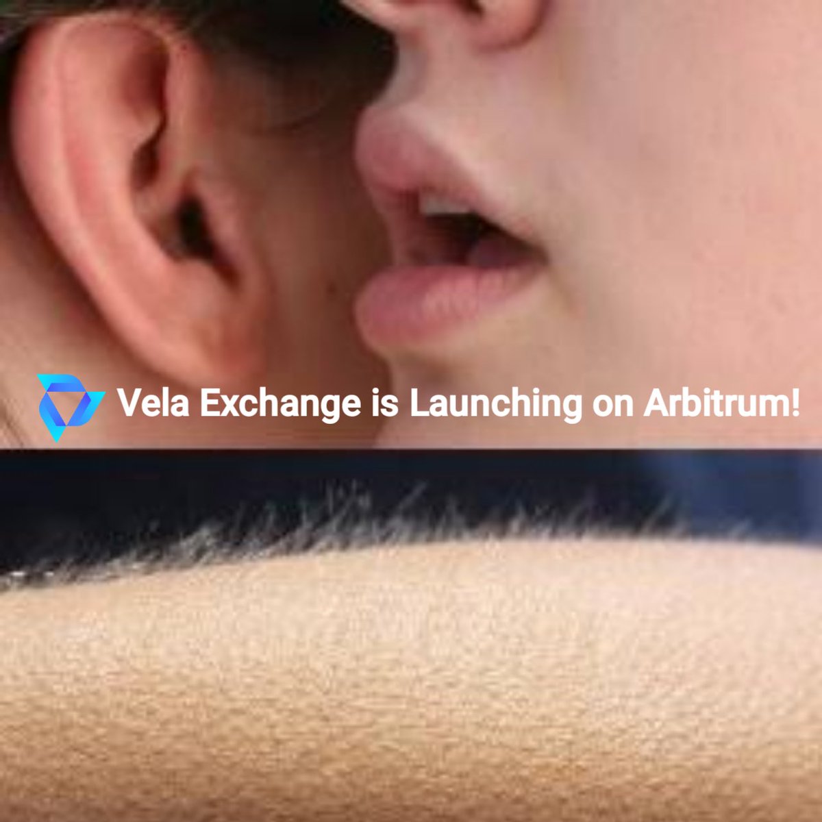 WallstreetJade's tweet photo. Shhh 🤫@vela_exchange is coming to @arbitrum!
#velafam #crypto #trading https://t.co/OhVMx2PwFv