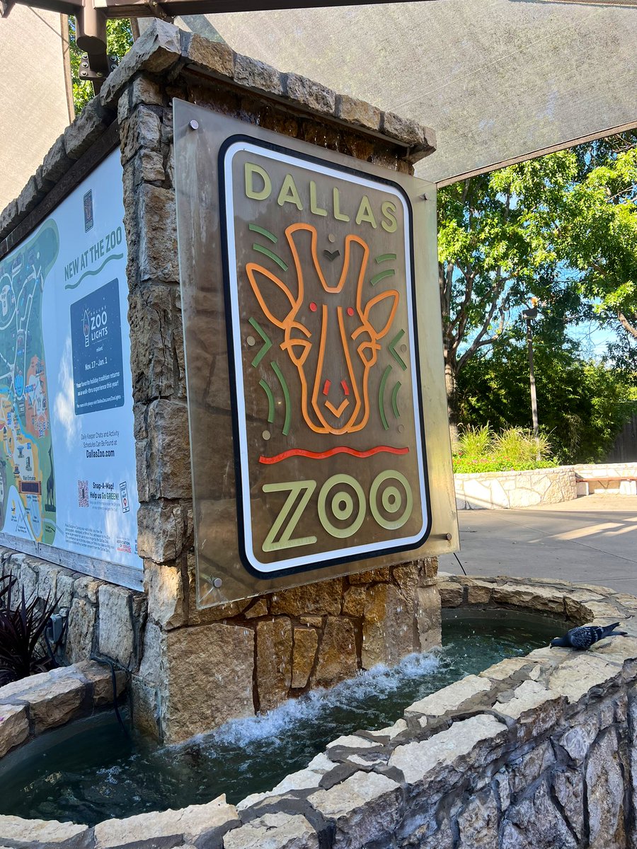 MrsMuddESL's tweet photo. Perfect day for a field trip to the Dallas zoo! Our first grade ponies had a blast! 🦍🦒🐘 @LewisvilleES https://t.co/dbTz3glQKC