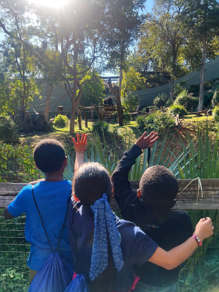 MrsMuddESL's tweet photo. Perfect day for a field trip to the Dallas zoo! Our first grade ponies had a blast! 🦍🦒🐘 @LewisvilleES https://t.co/dbTz3glQKC