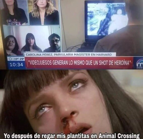 Canelita tweet media