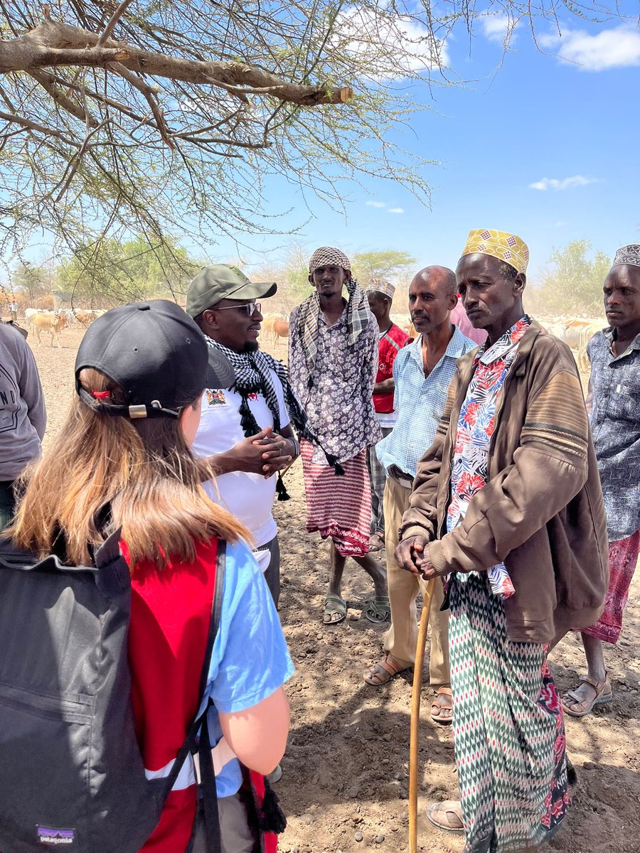 hanna geissler tweet media