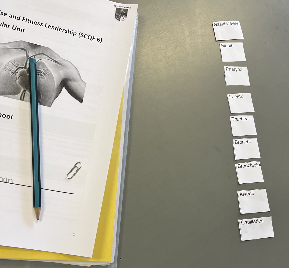 bones_carmel's tweet photo. Mr Robertson ⁦PE ⁦@Bellbaxter_HS⁩ using card sorts to help S5 commit to memory 🤔 today. Alone, in pairs, vs him: list, describe, explain. A reiterative process in action 🙌🏻🏴󠁧󠁢󠁳󠁣󠁴󠁿⁦@Bellbaxter_hwb⁩ ⁦@BBHSLearns⁩ https://t.co/ekyVcIunGj