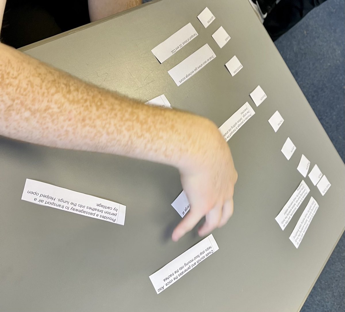 bones_carmel's tweet photo. Mr Robertson ⁦PE ⁦@Bellbaxter_HS⁩ using card sorts to help S5 commit to memory 🤔 today. Alone, in pairs, vs him: list, describe, explain. A reiterative process in action 🙌🏻🏴󠁧󠁢󠁳󠁣󠁴󠁿⁦@Bellbaxter_hwb⁩ ⁦@BBHSLearns⁩ https://t.co/ekyVcIunGj
