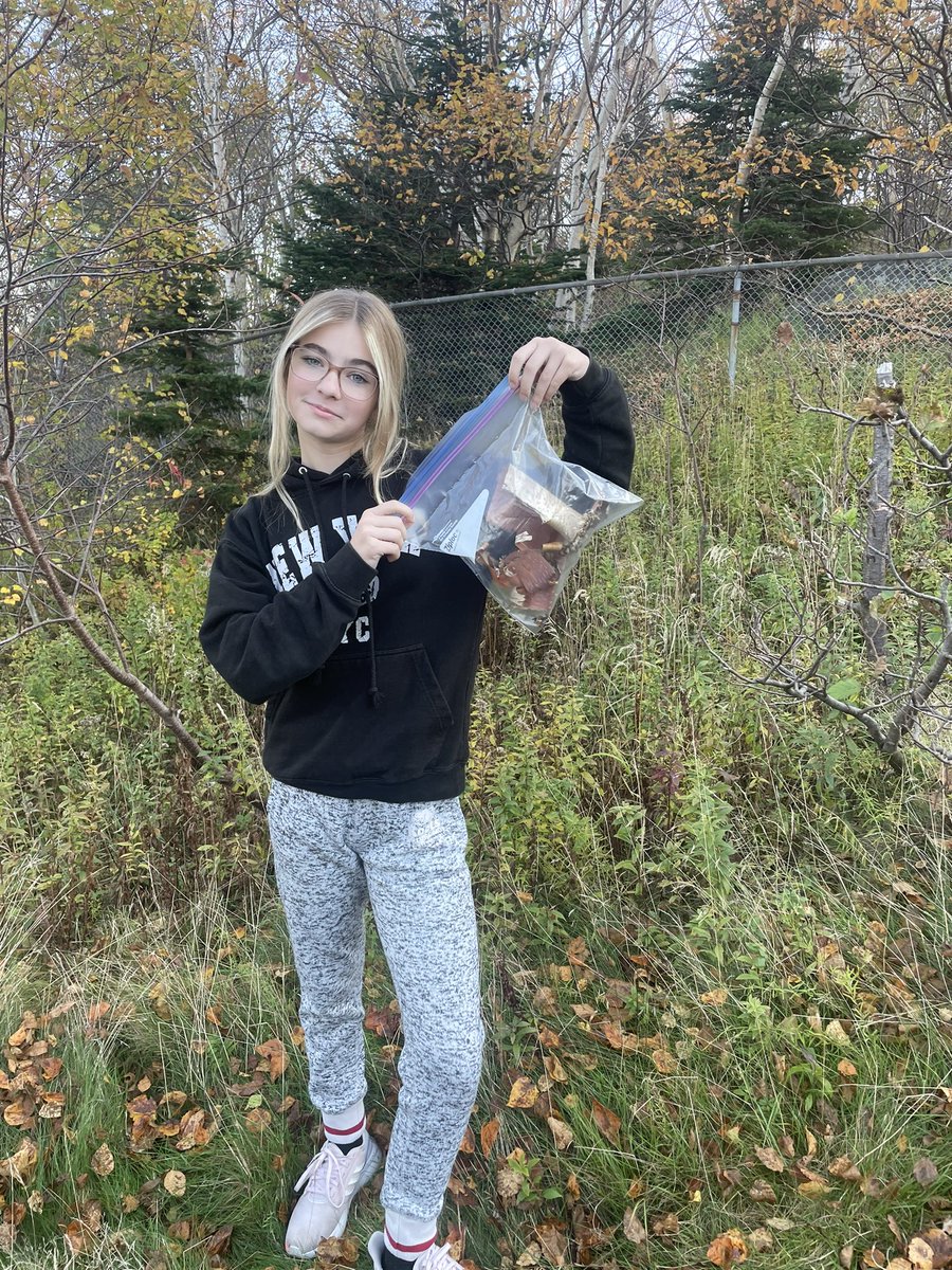 BurseyMyranda's tweet photo. Our grade 8 social studies class taking full advantage of the great weather this week collecting birch bark to make Mamateeks @sjboscoschool #getoutside https://t.co/Cd0SZtyAbl