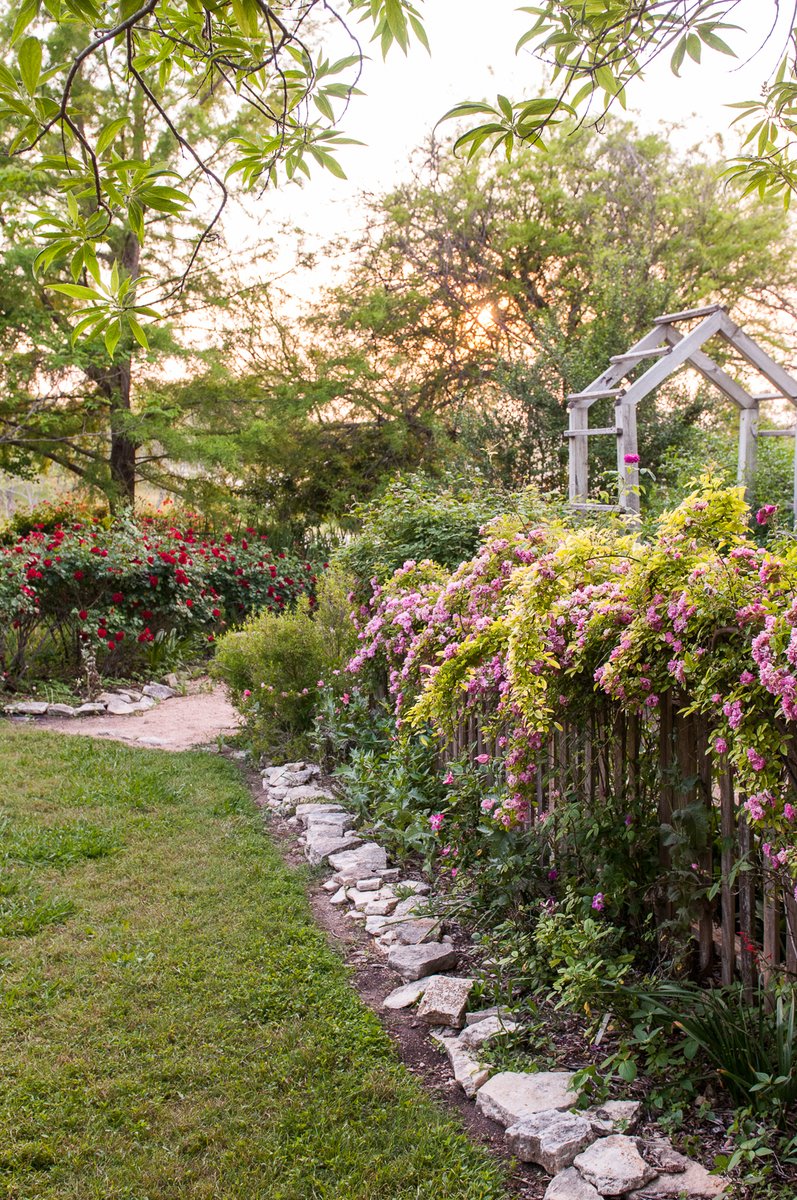 visitbrenham's tweet photo. Need an extra reason to visit @antiqueroseemporium? Some of their most fragrant roses will be on display this weekend! 
#visitbrenham #brenhamtx https://t.co/fdSZAmD1fN