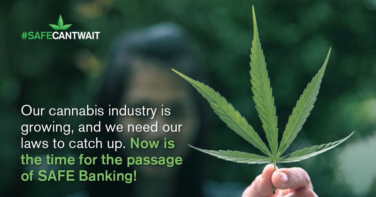 Last month, <a href="/POTUS/">President Donald J. Trump</a> took a step forward in cannabis. Now we must keep that momentum growing and push for further reform.
#PassSAFEActToday 
#SAFECANTWAIT